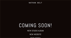 Desktop Screenshot of nathanbelt.com